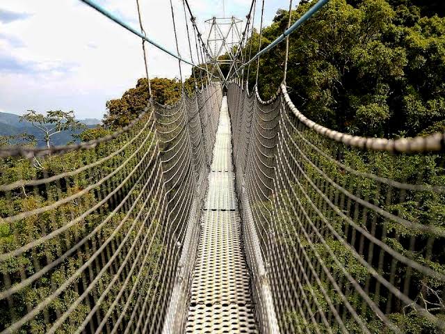 Canopy-Walk-in-Nyungwe-Forest