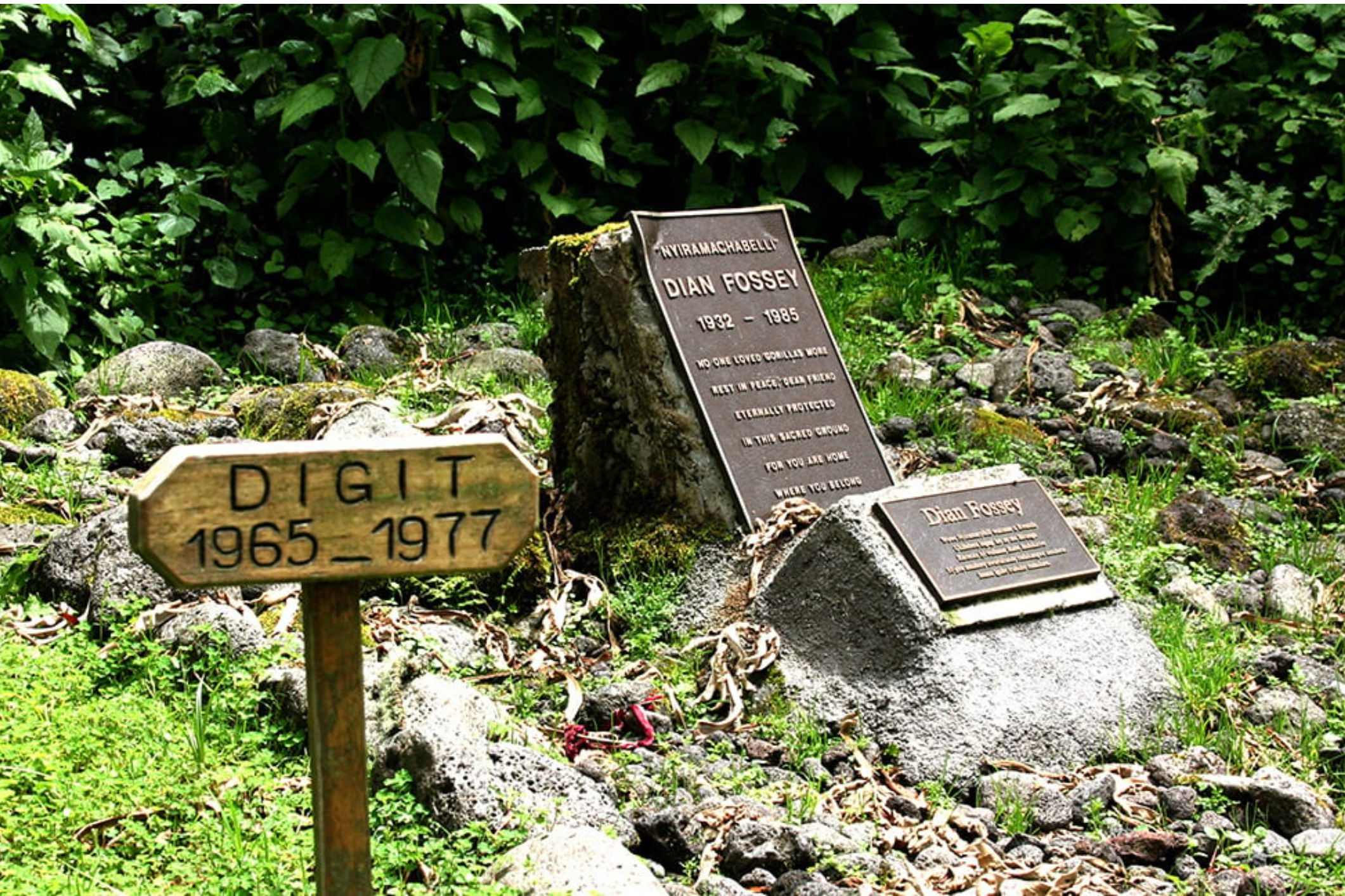 Diani Fossey Grave