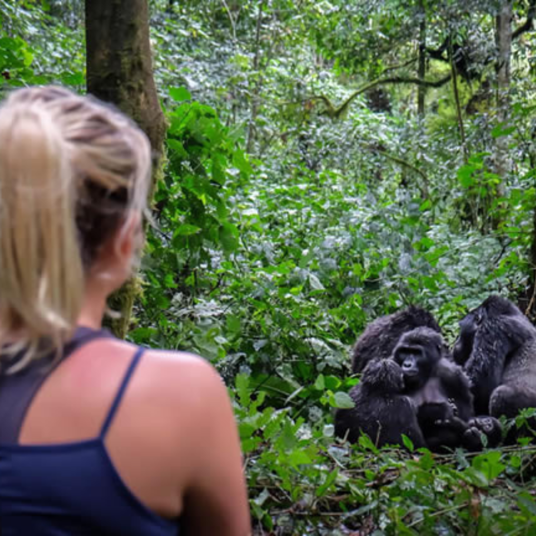 Gorilla Trekking in Rwanda