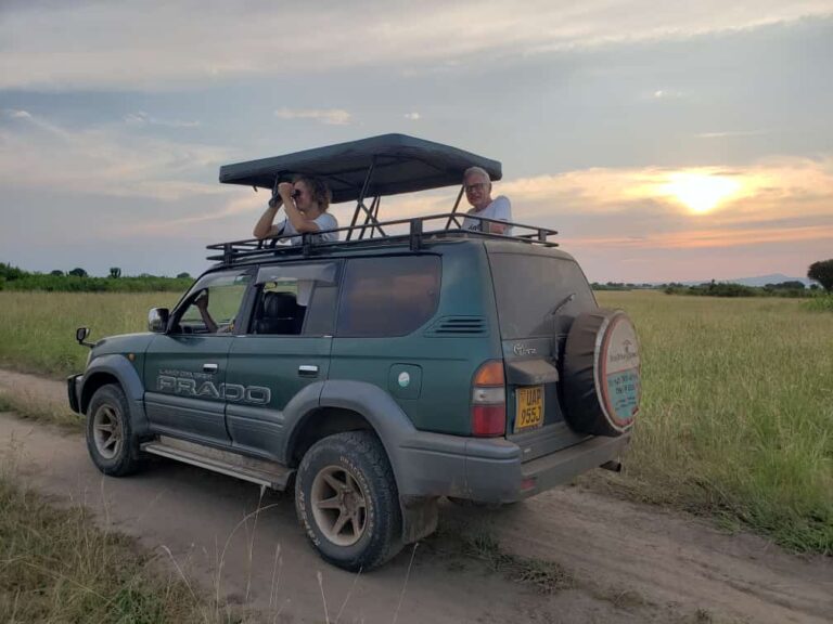 Land cruiser with Popup roof