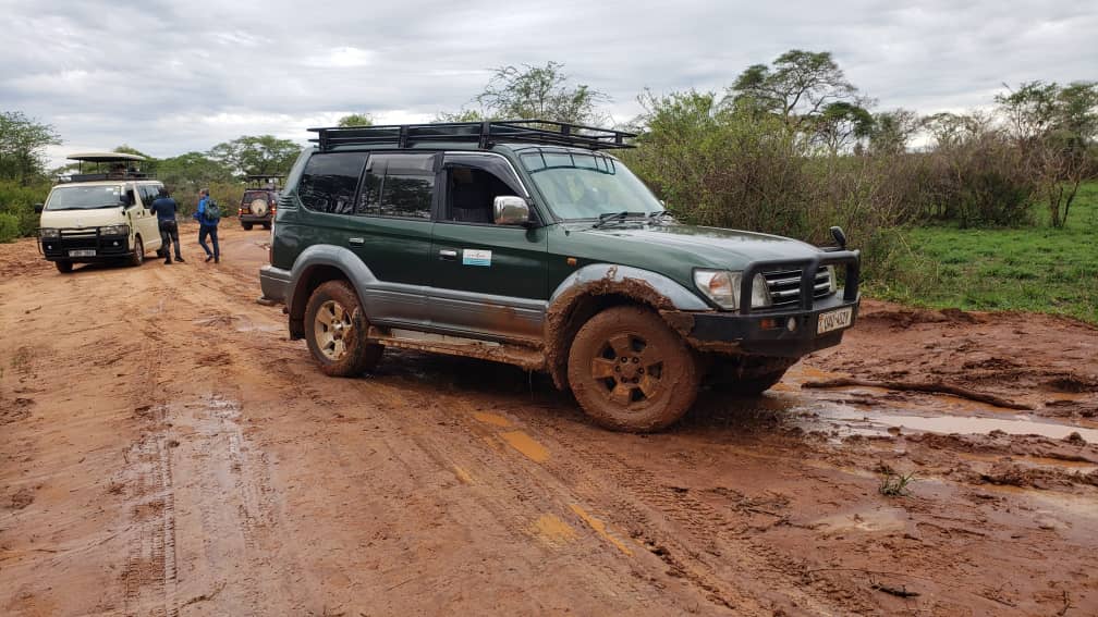 Rent a Land Cruiser TX in Rwanda